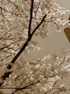 (untitled)