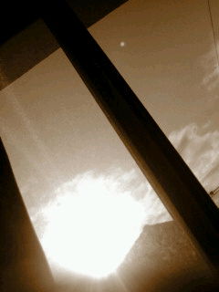 (untitled)