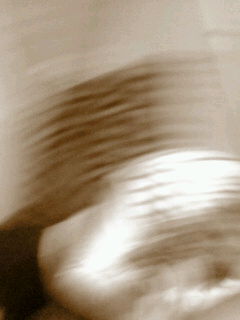 (untitled)