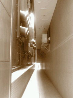 (untitled)