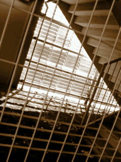 (untitled)